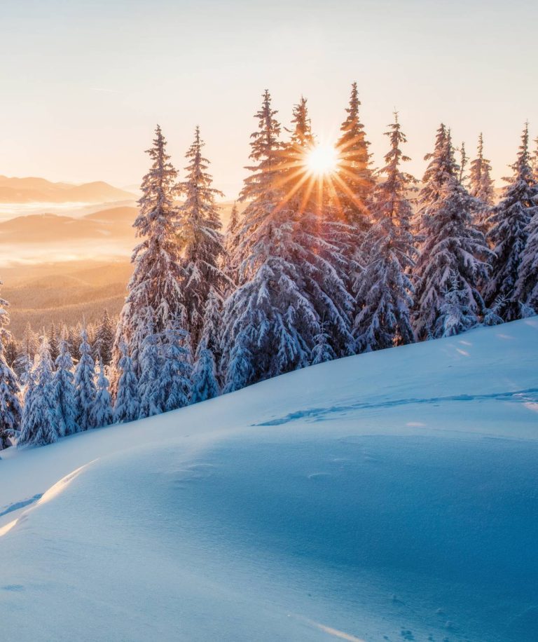 Voyage atypique en Laponie Finlandaise, au cœur d’une nature préservée