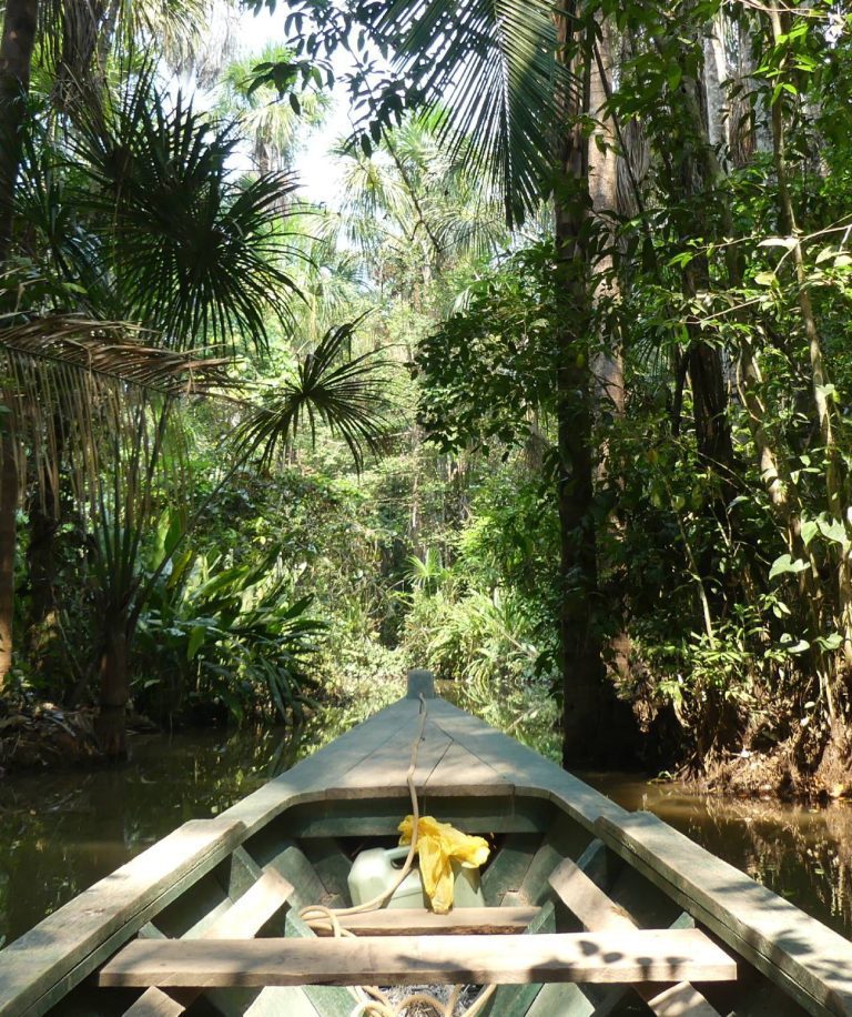 L’Amazonie, une destination dédiée à la découverte et à l’évasion