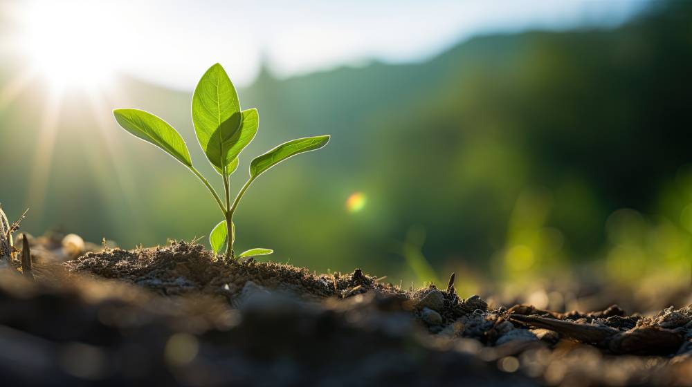 Earth Hour, un geste simple pour sauver la planète