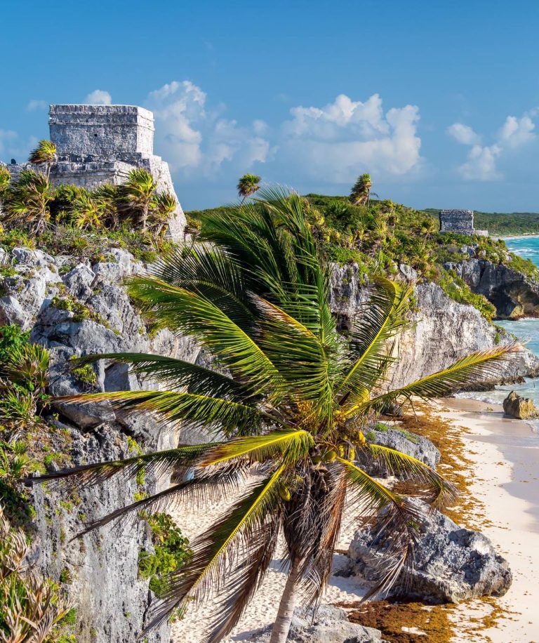 Voyage Mexique : Hôtel Riu Lupita 5* à Playa del Carmen