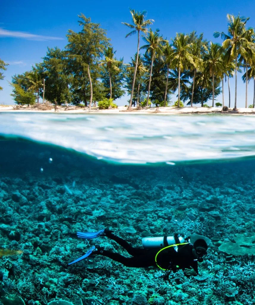 Les plus beaux spots de plongée de Lombok