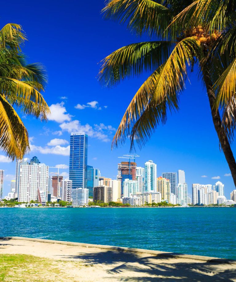 Incursion dans le charme atypique de Miami