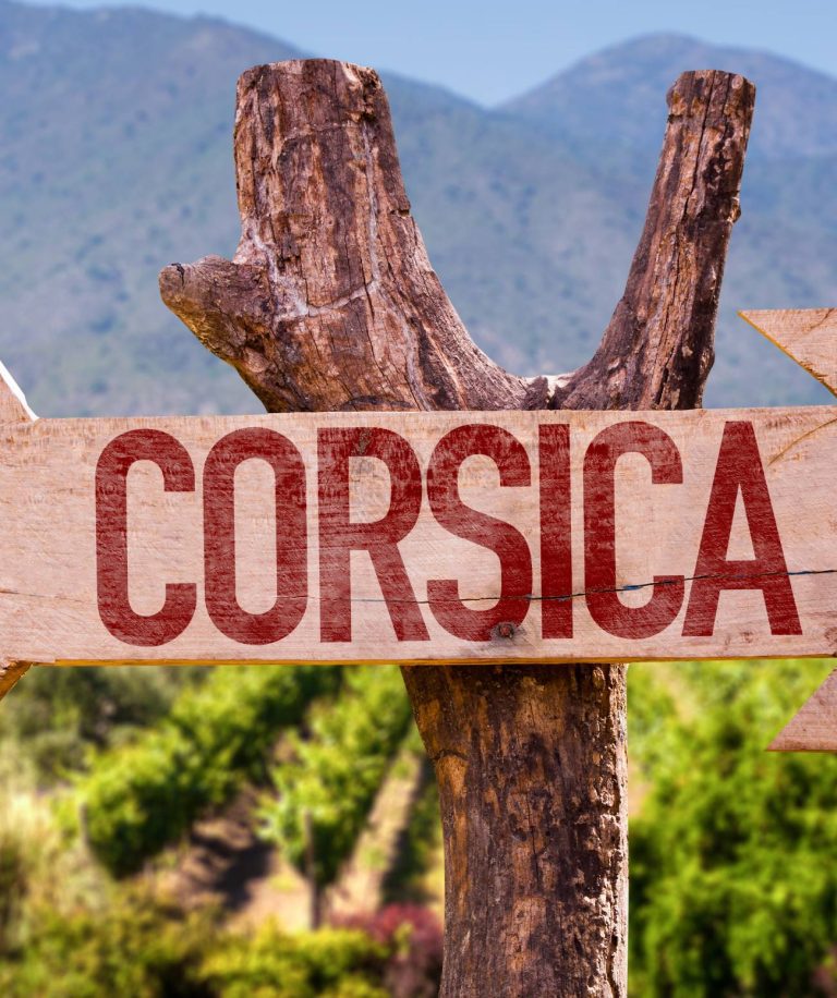 Pratiquer l’Accrobranche en famille en Corse