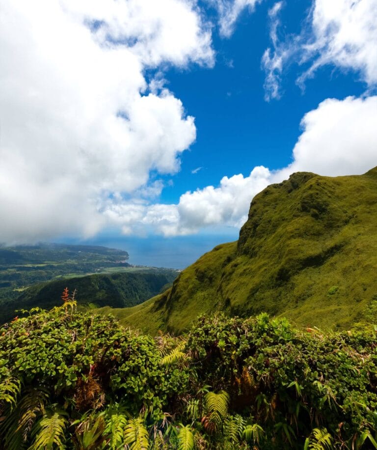 Les randonnées, une meilleure façon d’explorer la Martinique