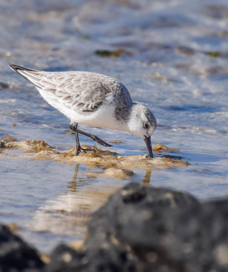 La péninsule de Jandia à Fuerteventura