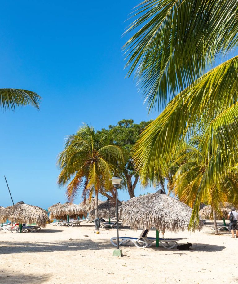 Fuerteventura, la destination du moment !