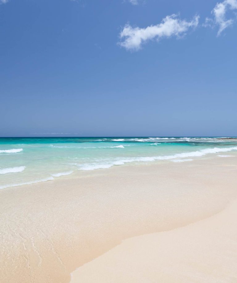 Fuerteventura, une île-jardin à découvrir aux Canaries