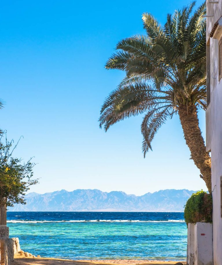 Palma de Majorque : le rêve à portée de main