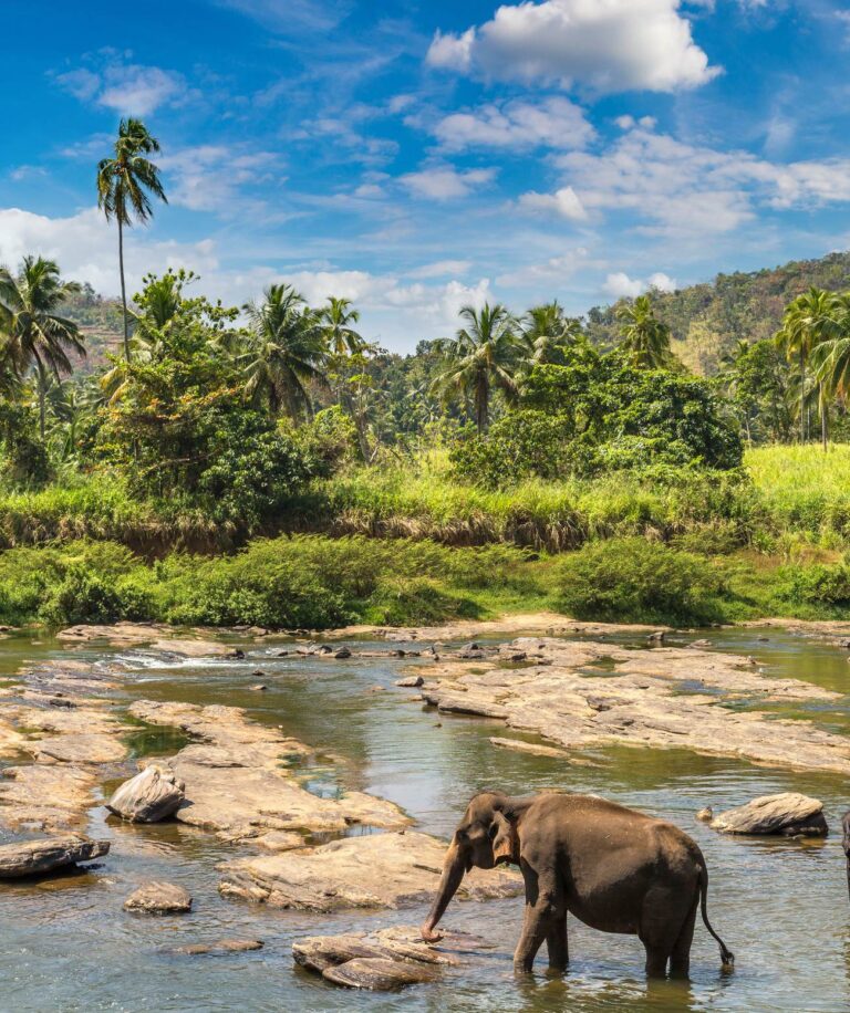 Le Sri Lanka, une des perles de l’Océan Indien