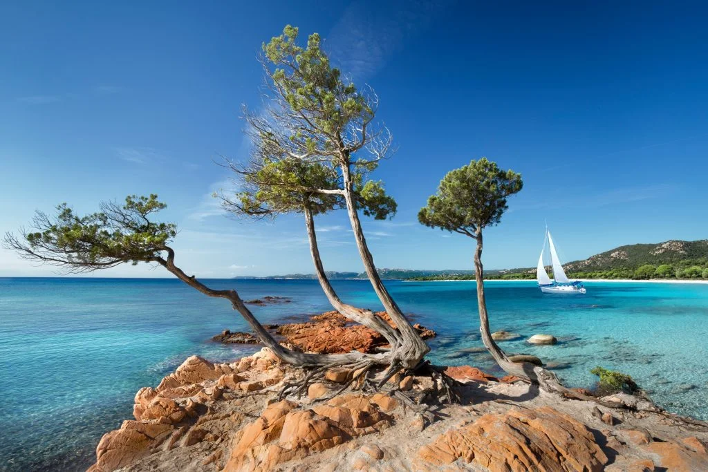 Corse du sud