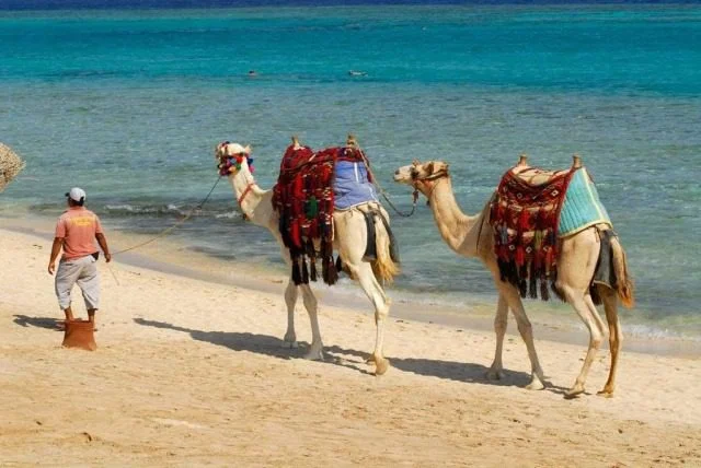 Egypte plage