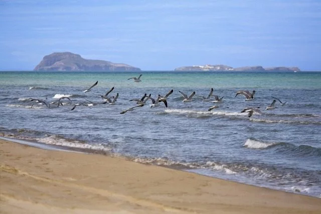 FADESA, Maroc, Saidia, la plage