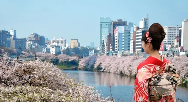 Tokyo-cerisiers