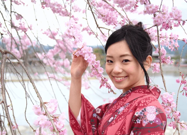 cerisier-fleur-japon