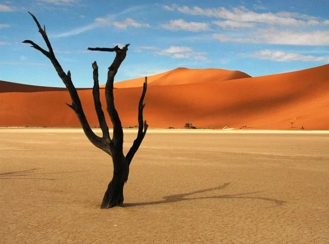 namibie-deadvlei