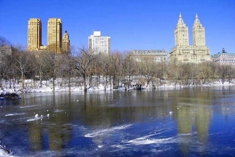 Winter in Central Park
