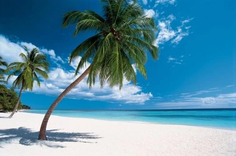 Plage République Dominicaine