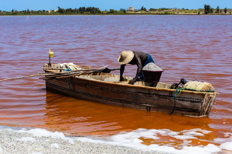 Un voyage en solo sans égal au Sénégal 