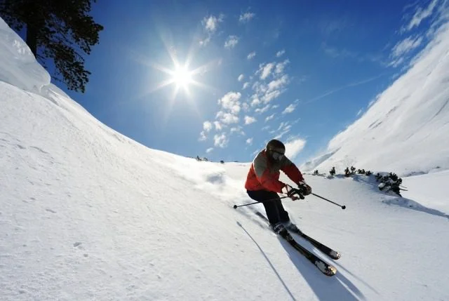 ski
