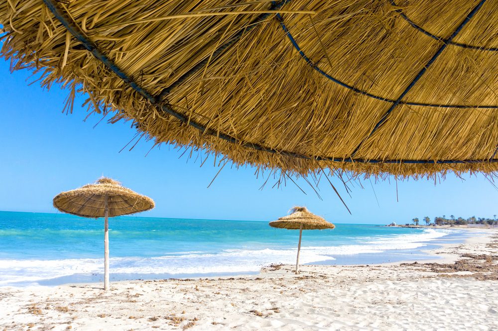 Plage de sable blanc et palmiers à Djerba en Tunisie