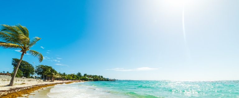 Beach, Guadeloupe