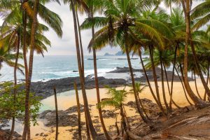Illustration de Quelles activités incontournables lors d’un voyage à Sao Tomé ?