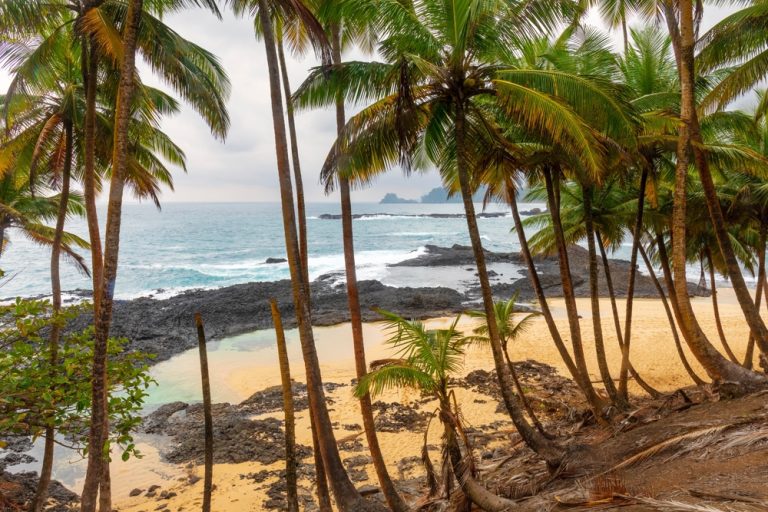 Quelles activités incontournables lors d’un voyage à Sao Tomé ?