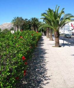 Couverture Agadir