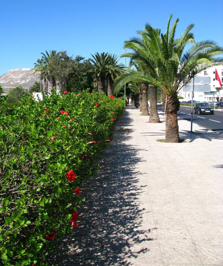 Vos vacances pleines de douceur sur les plages d’Agadir
