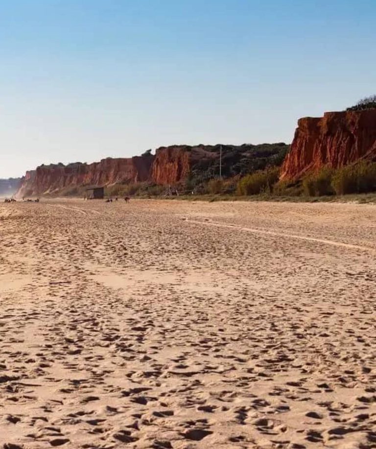 Voyage Hors-Saison : la nouvelle tendance pour économiser !