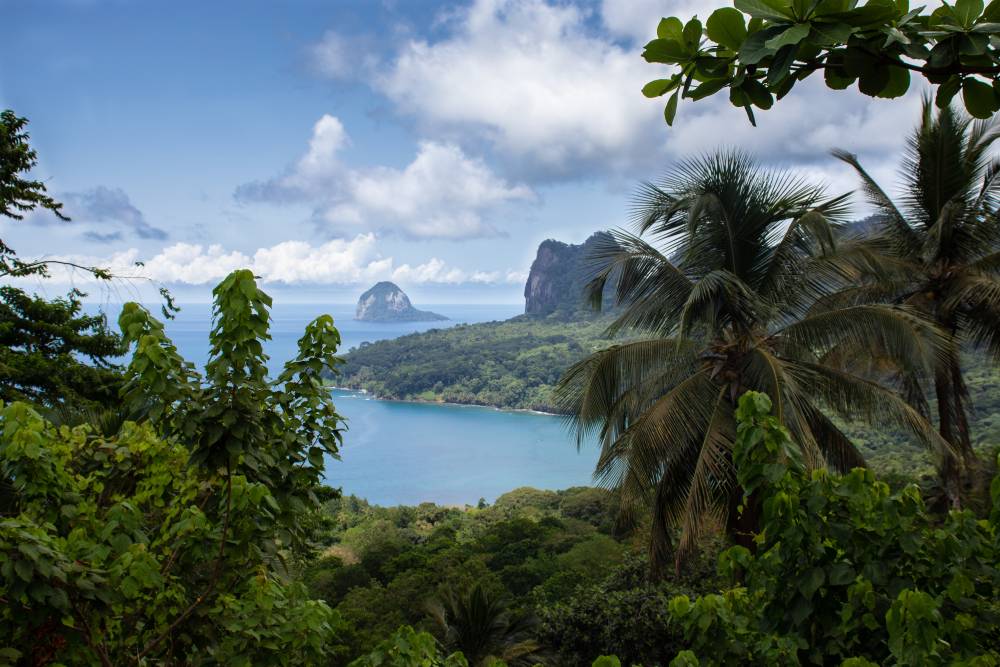 4. Organiser les visites et excursions