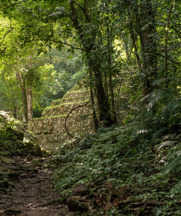 Visiter le Mexique, berceau des plus brillantes civilisations