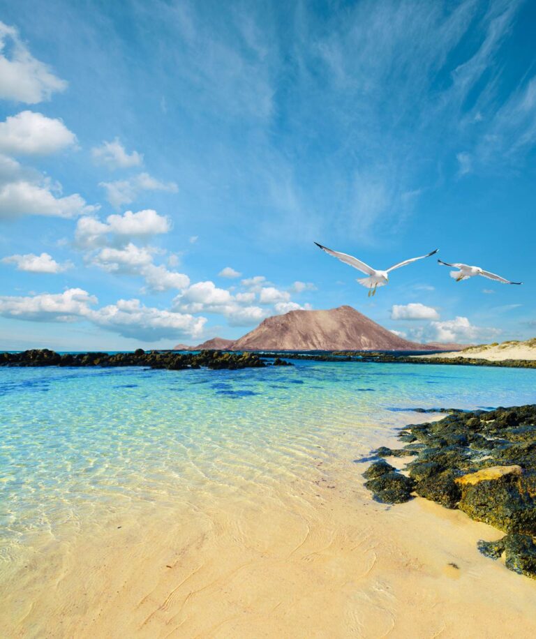 Couverture Fuerteventura