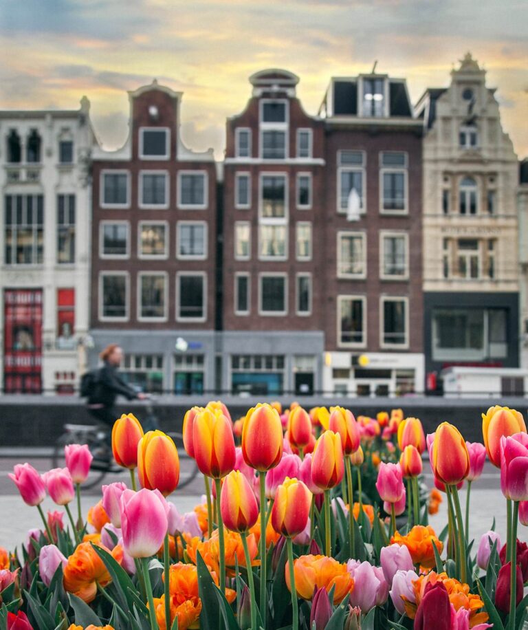 Appréciez votre séjour lors des journées des Tulipes à Amsterdam      