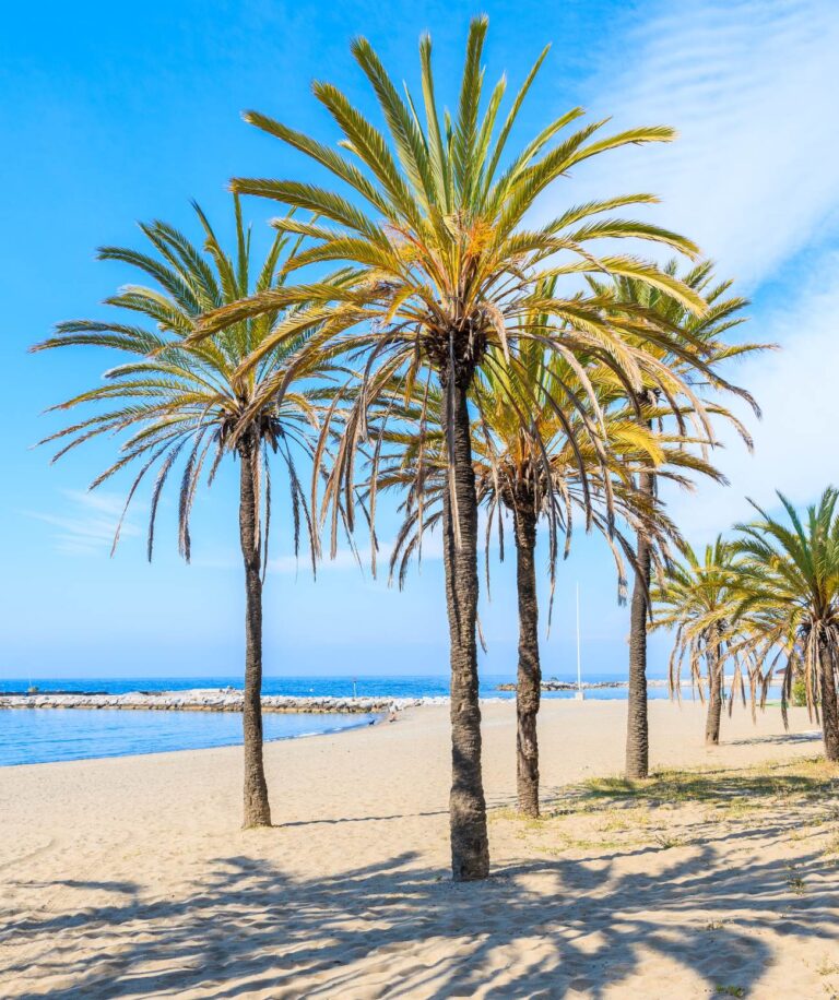 Envie de plage en Espagne: les sites à ne pas manquer