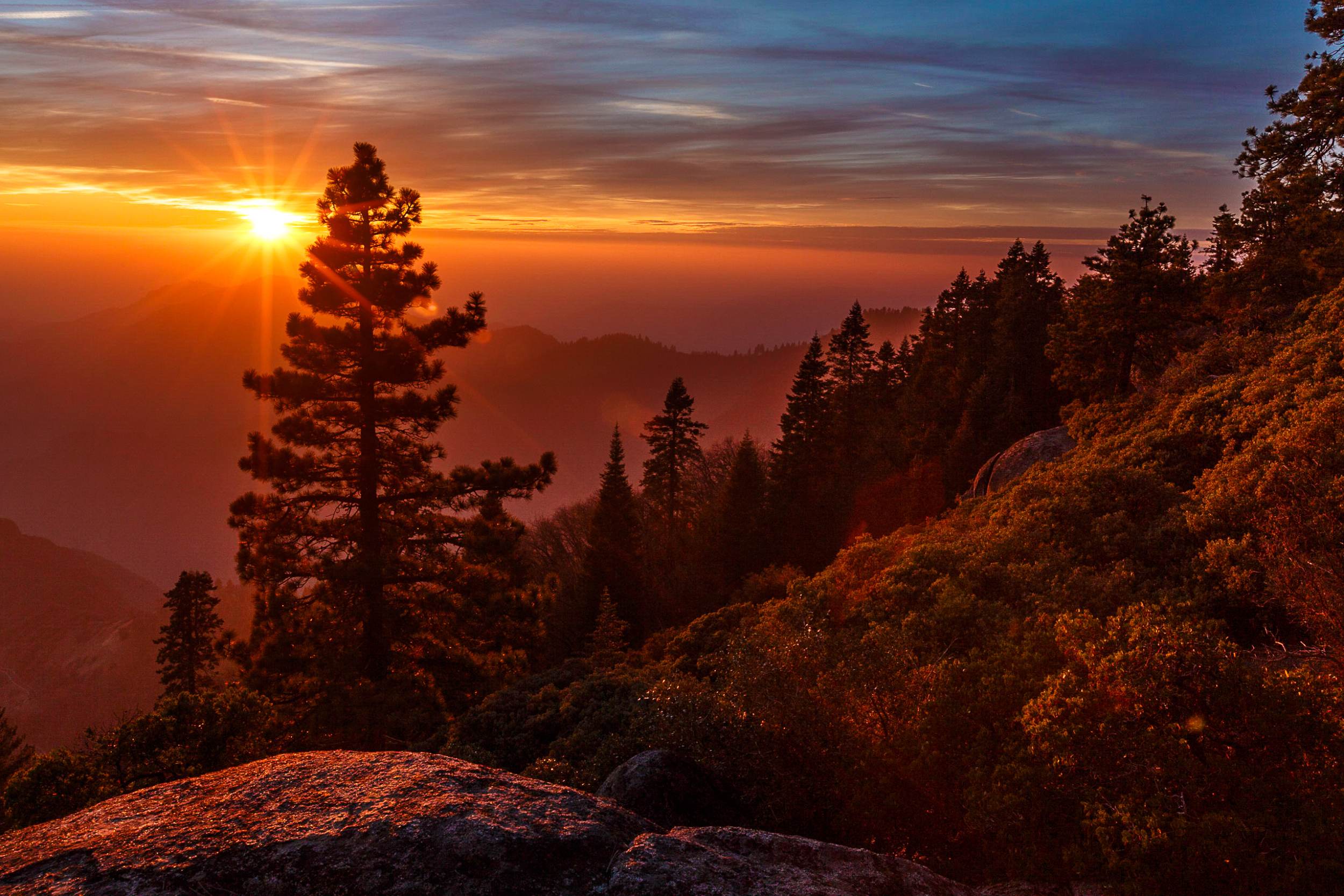 Slider Sequoia National Park