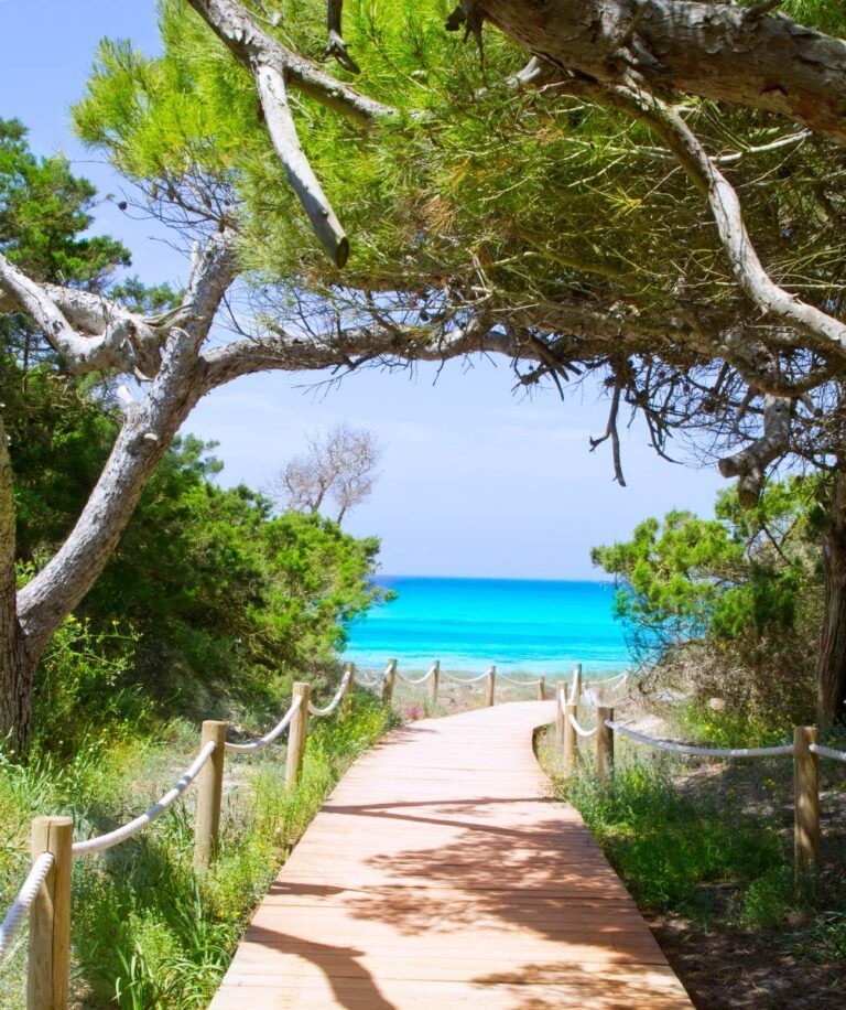 Vacances entre amis à Ibiza : Place aux plages, à la découverte et à la fête