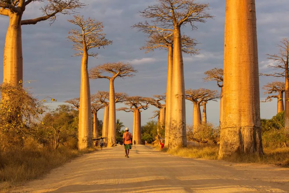 Séjours de découverte à Madagascar