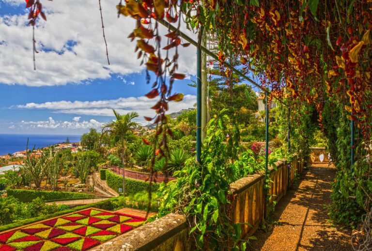 Quand partir à Madère pour profiter du spectacle coloré de la floraison