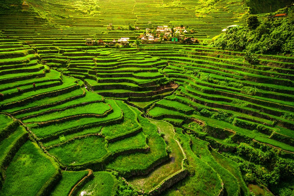 Les Philippines, un voyage entre îles paradisiaques et traditions locales 4 Rizières aux Philippines