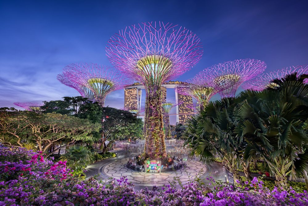 Gardens by the Bay, Singapour