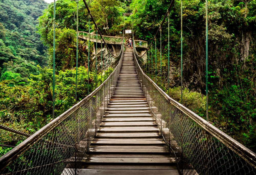 Un voyage en Équateur dans un petit pays aux expériences grandioses 4 Paysage Amazonie, Equateur