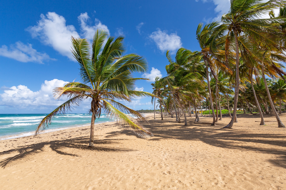 Où partir à Punta Cana pour un séjour tout compris ? 2 Plage à Uvero Alto, Punta Cana, République Dominicaine