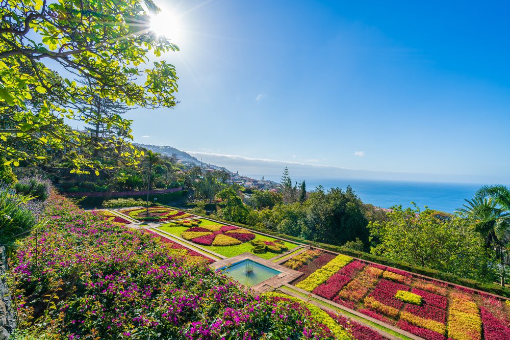 Vue sur les fleurs à Madère, Portugal