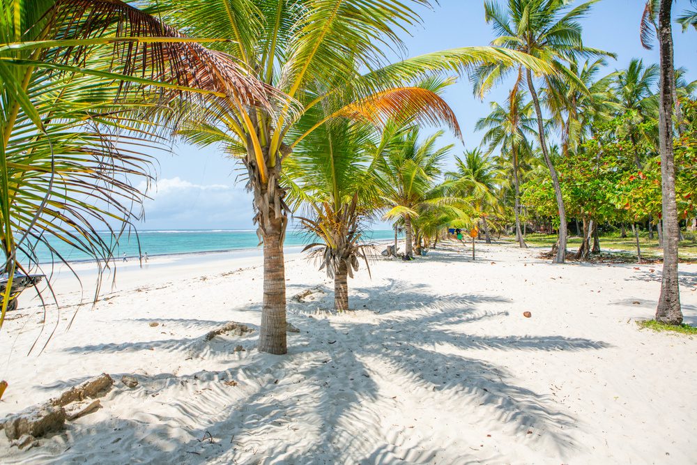 Plage topical Diani Beach, Kenya