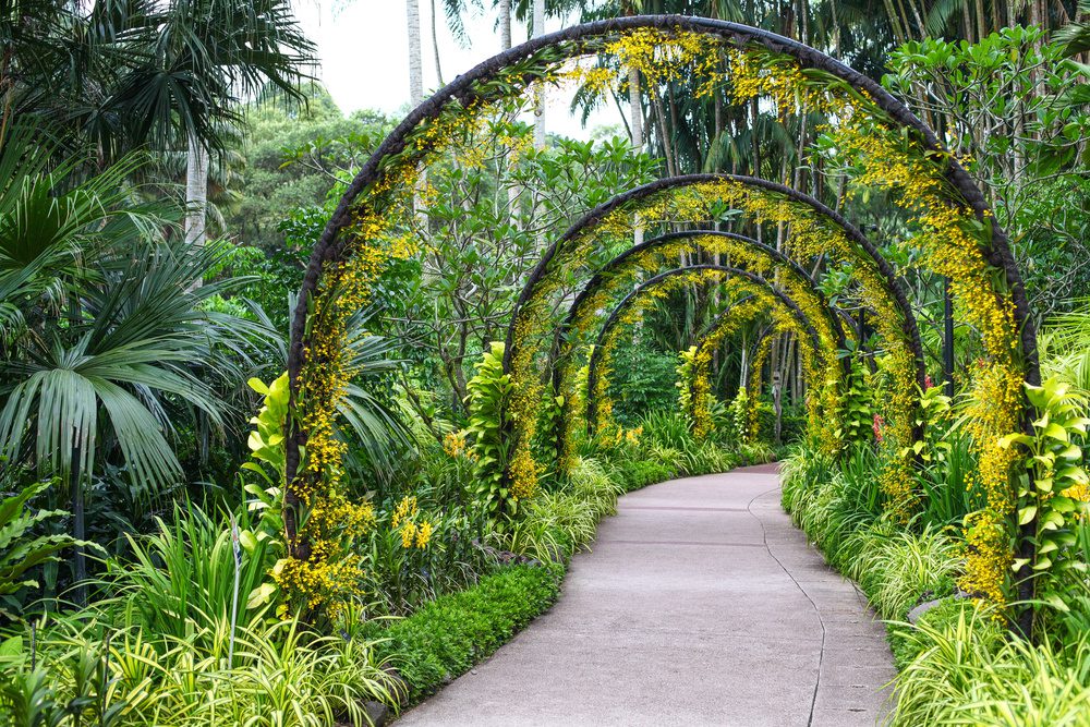 Singapore Botanic Gardens, Singapour