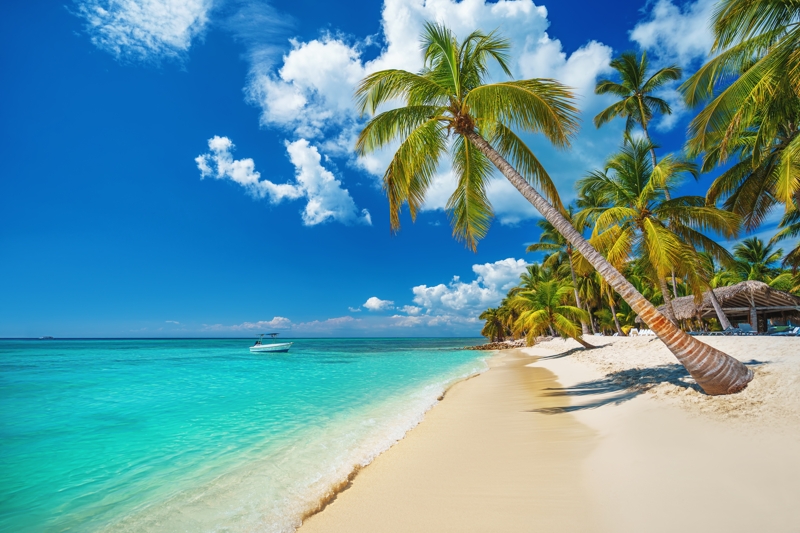 Plage de sable blanc de Punta Cana en République dominicaine
